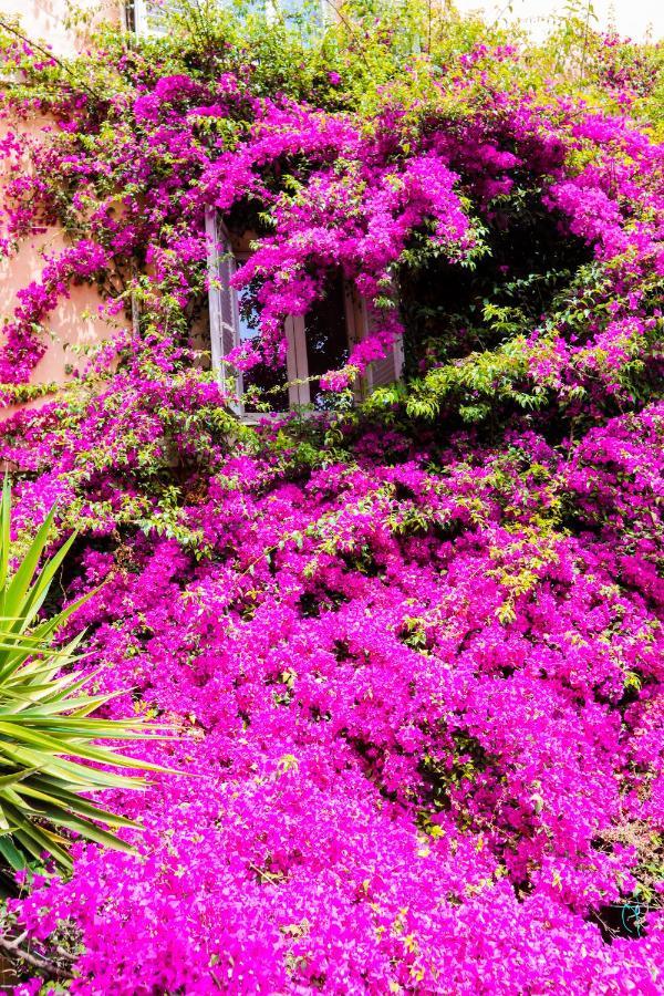 Orti 27 Garden Rome Trastevere - Rome Vacation M&D Bagian luar foto
